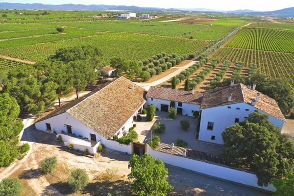 Bodegas Vicente Gandia aumenta un 13% sus ventas y eleva beneficio a 3,2 millones
