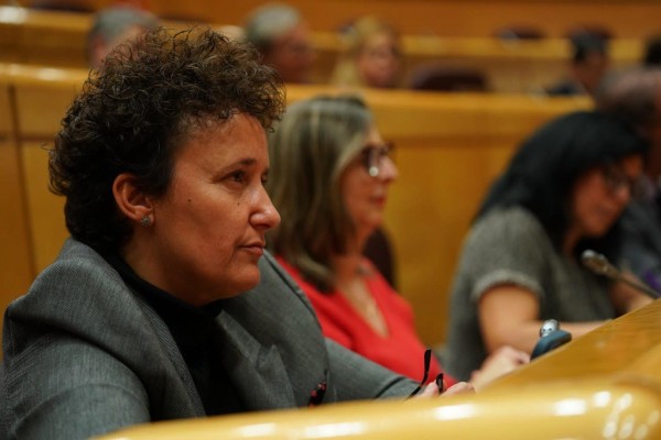 El PPCS reclama en el Senado a Industria más ayudas para proteger al sector cerámico