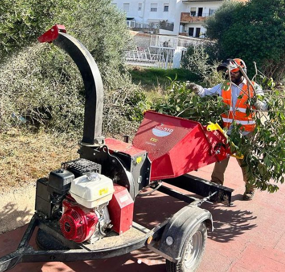 Traiguera s'especialitza en la gestió sostenible de recursos forestals a través de la silvicultura
