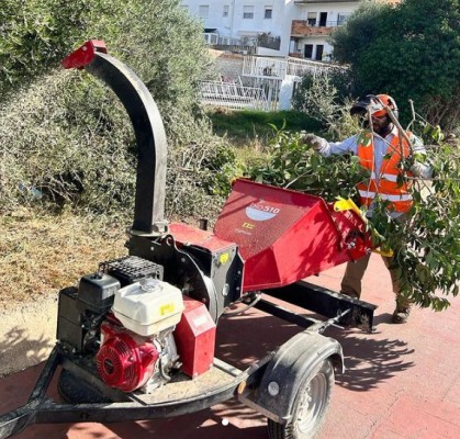 Traiguera s'especialitza en la gestió sostenible de recursos forestals a través de la silvicultura
