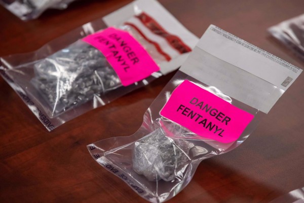 Amnistía, macroincendio y fentanilo, entre las palabras del año para la Fundéu