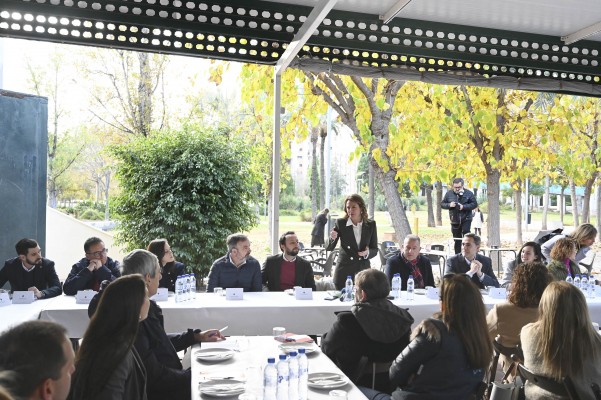 Castelló 'desconectará' las videocámaras este viernes: lo que debes saber para no ser multado