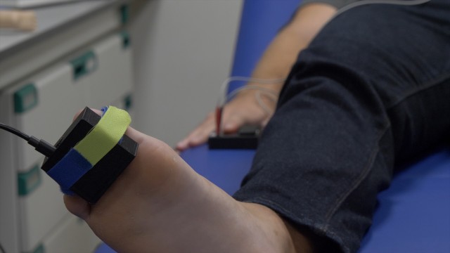 Un plan del Parque Científico de la UMH crea tecnología para diagnosticar la Enfermedad Arterial Periférica
