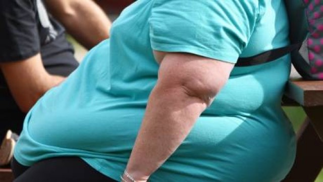 Alicante organiza un seminario gratuito sobre nutrición y prevención de la obesidad