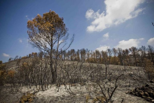 Al Consell se le abre un nuevo frente ambiental