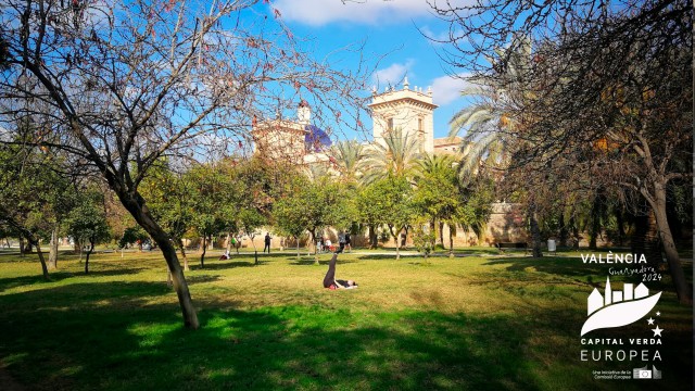 La Comisión no permanente para el desarrollo de la Capitalidad Verde 2024 se constituye este lunes