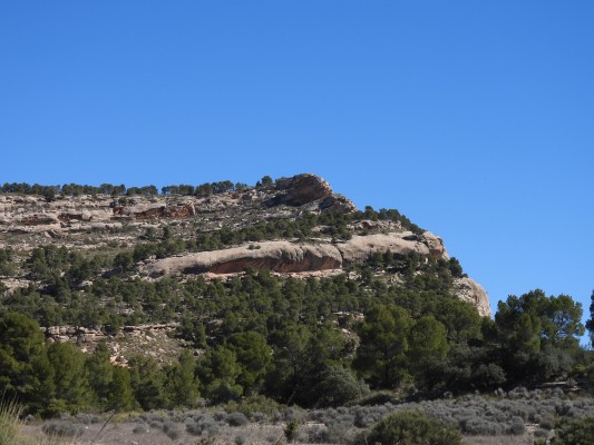La Comunidad instalará nueva señalización en los espacios protegidos Monte Arabí, Sierra del Buey y parque regional Sierra de la Pila