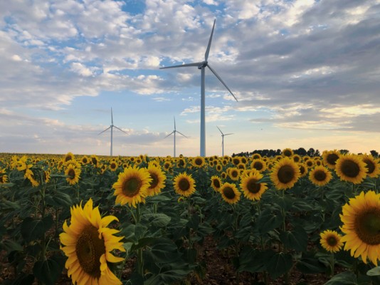 Iberdrola repotenciará sus primeros cuatro parques eólicos en España y elevará su producción un 30%
