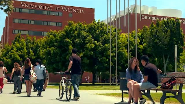 ¿Por qué las universidades españolas no logran medallas?