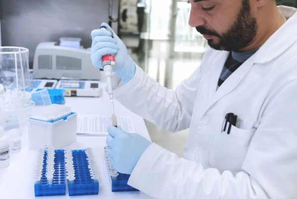 Una empresa murciana desarrolla un test PCR para detectar enfermedades en tierra y plantas
