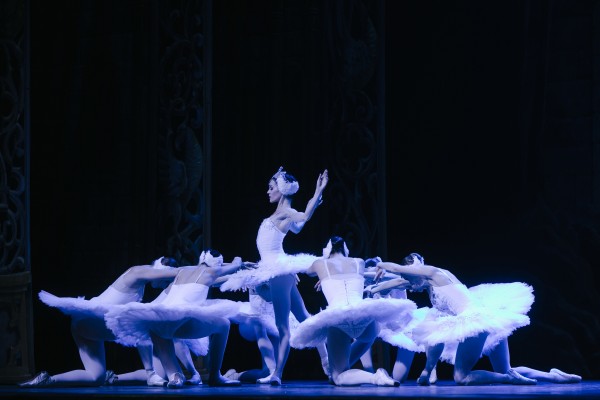 Los cisnes más famosos del mundo llegan a La Rambleta