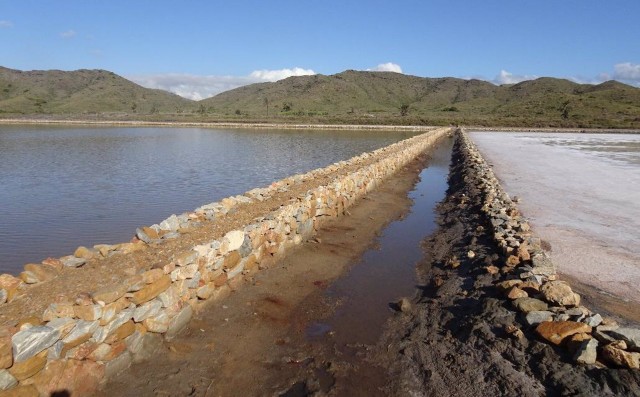 Ponen en marcha planes de mejora para conservar el ecosistema del Parque Regional de Calblanque
