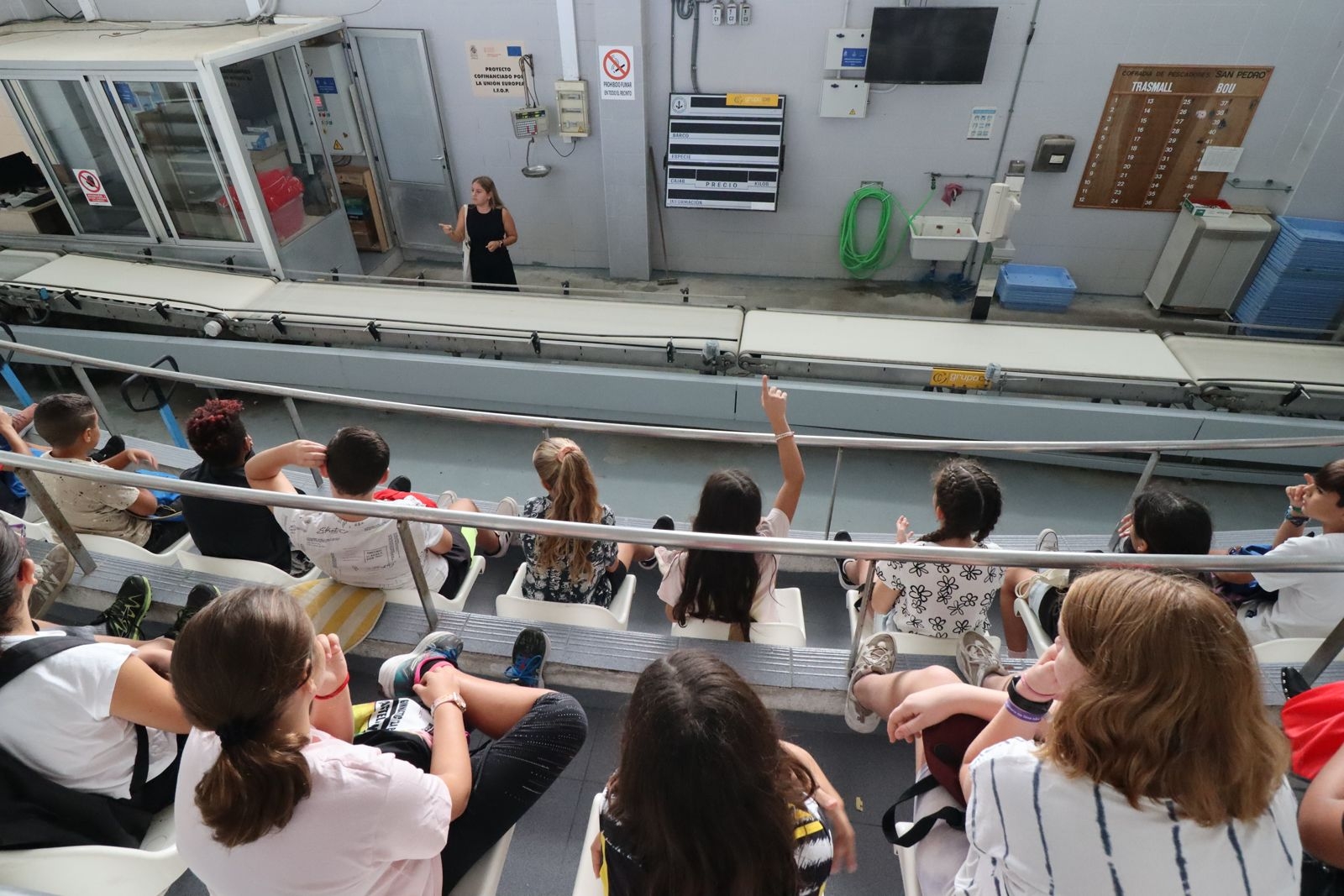 Más de 800 alumnos de Castelló visitan la lonja del puerto en la campaña escolar 'Peix del Grau'