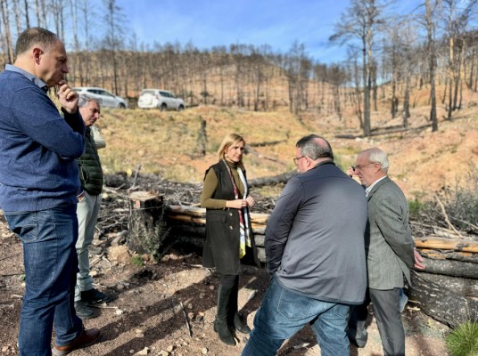 El Consell destinará 2 millones para regenerar las zonas del Alto Palancia afectadas por los incendios