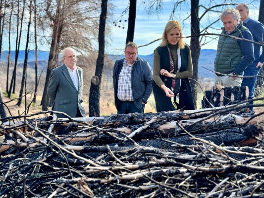 La Generalitat destina 1,3 millones a regenerar la zona afectada por el incendio de Bejís