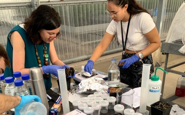 Desarrollan papel de film biodegradable y agrocompostable para reducir uso de pesticidas