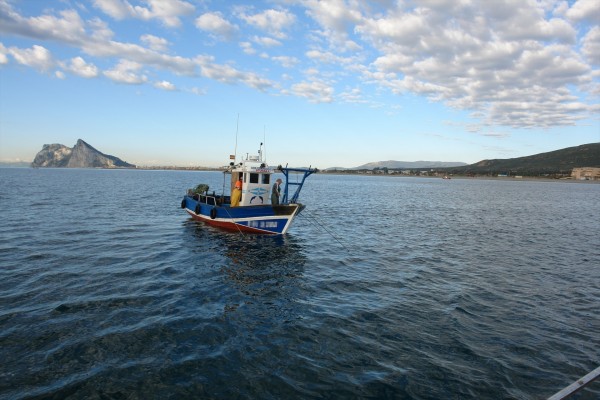 La sobrepesca en el mar Mediterráneo y Negro cae por debajo del 60%, el más bajo de la década