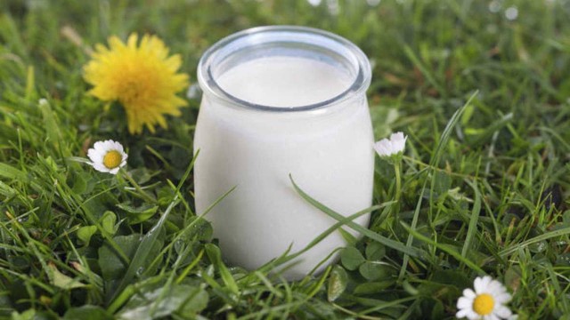 El consumo de yogur entero está vinculado con un menor riesgo de depresión en las mujeres
