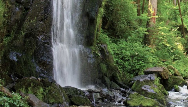 Agua Mineral San Benedetto aumentó un 26,5% su facturación en 2022 hasta los 123,2 millones

