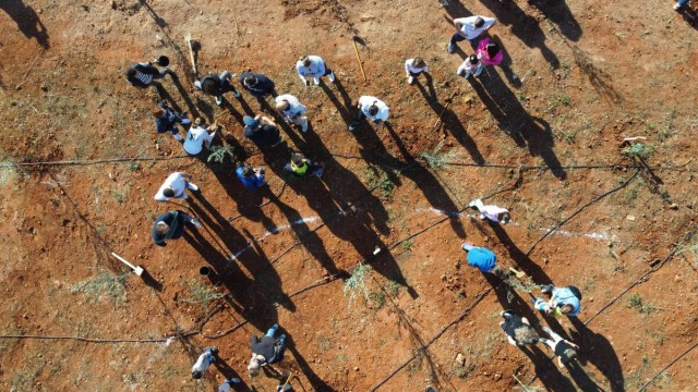 Més de 130 veïns i 17 empreses d'Onda col·laboren amb el Bosc Olímpic, que s'apropa als 2.000 arbres
