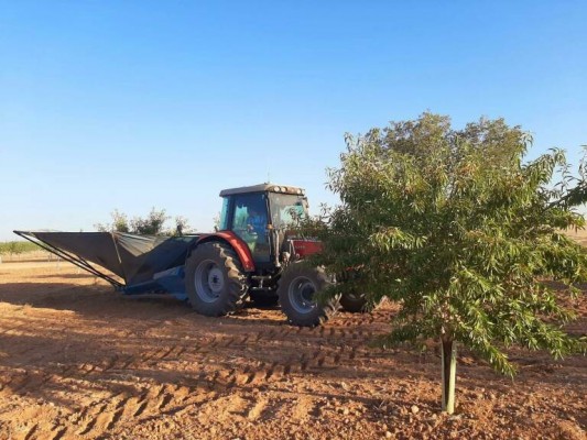 Los ganaderos y agricultores de la Región contarán con 10,6 millones en ayudas para modernizar sus explotaciones 