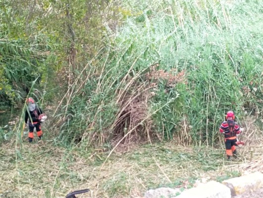 El proyecto 'Canya a la Canya' creará un corredor verde en la ribera del río Xúquer