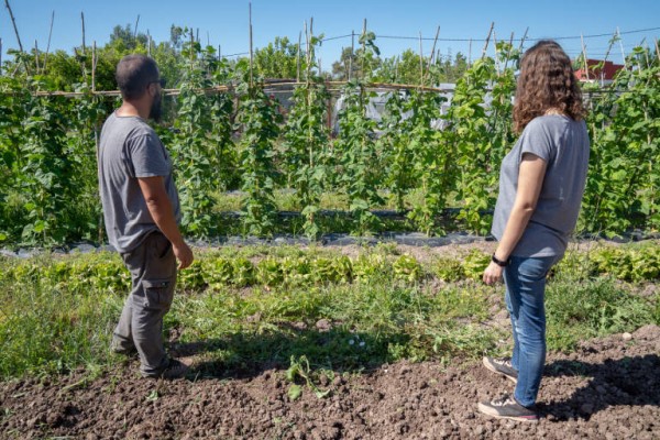 La agroecología crece en Castellón: un 24% más de producción, 470 actividades y más secano