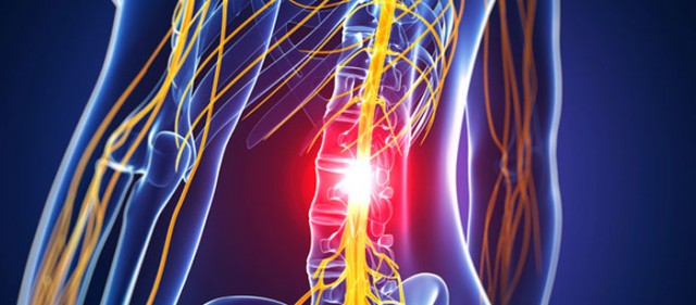 Una proteína podría potenciar la regeneración neuronal tras una lesión medular