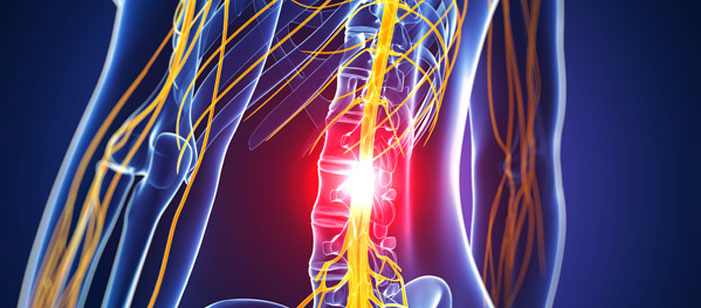 Una proteína podría potenciar la regeneración neuronal tras una lesión medular