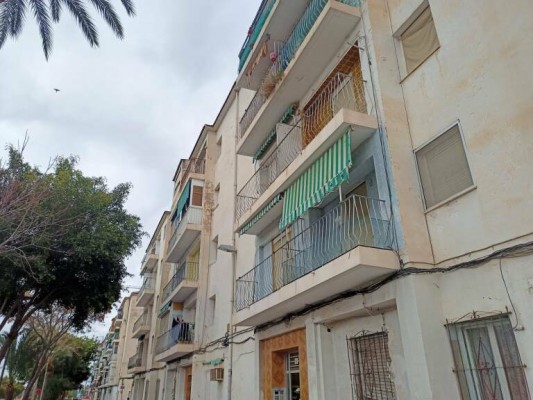 La renovación de San Antón en Elche acelera: quedan 5 vecinos por realojar en los nuevos pisos