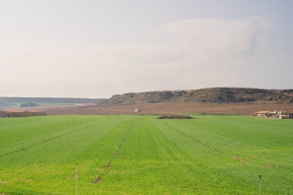 El campo supone el 40% del total de las exportaciones de la Región de Murcia