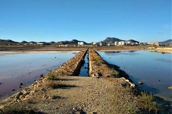 Las salinas de Marchamalo estarán abiertas al público en primavera
