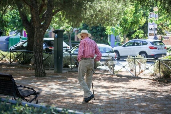 Las pensiones contributivas subirán un 3,8% en 2024