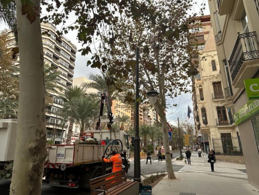 Alicante reabrirá al tráfico el paseo de Doctor Gadea este fin de semana: las obras continúan 