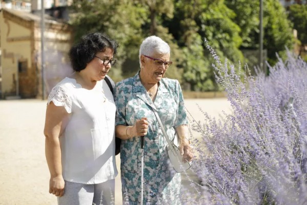 Domusvi estrena este viernes su primera residencia de ancianos en Mucia con 150 plazas