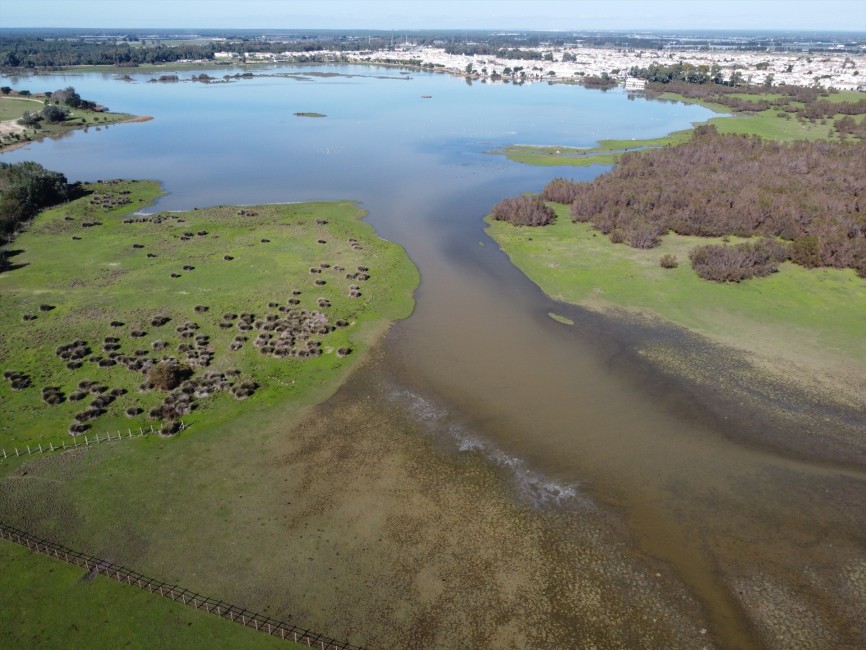 Imagen actual de la marisma de Doñana (Huelva). Foto: CSIC - 