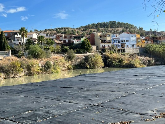 La restauración fluvial del río Albaida  recuperará el bosque de ribera del cauce