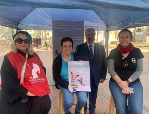 Castelló sensibiliza sobre la adopción responsable de mascotas en una jornada con asociaciones