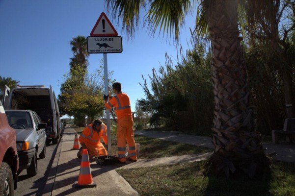 El Consorcio del río Mijares instala señales en las vías próximas para prevenir el atropello de nutrias