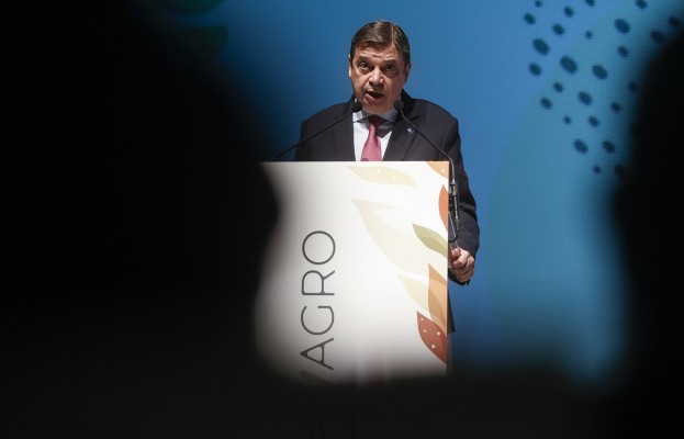 Planas acusa al PP de perjudicar la imagen de España al intentar llevar la amnistía a Europa