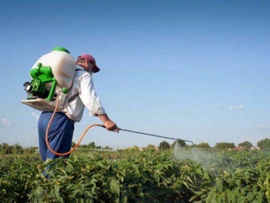El campo valenciano respira aliviado: Bruselas no reduce los fitosanitarios que puede utilizar