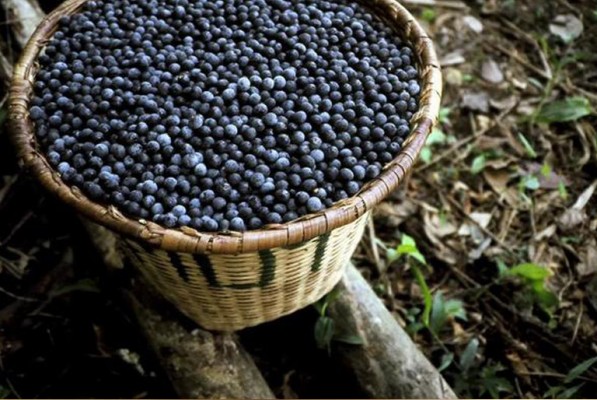 Valencia sucumbe a la fiebre del açaí
