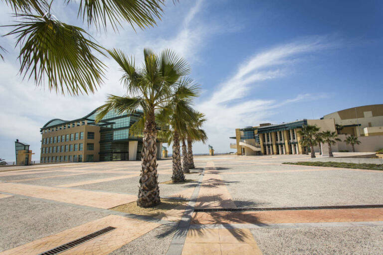  Los edificios de oficinas y de los platós que conforman el complejo de Ciudad de la Luz en Alicante. Foto: EVA MÁÑEZ  - 