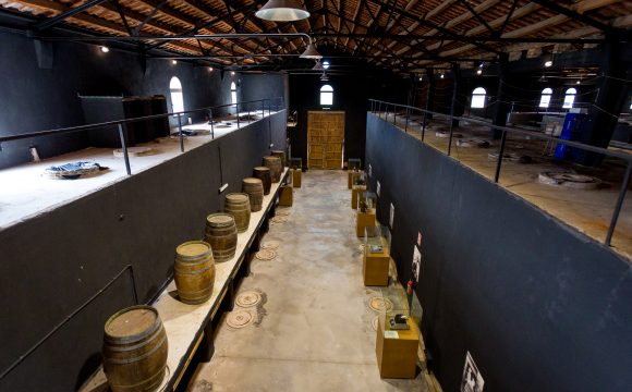 Catas, maridajes a ciegas, bodegas y conferencias: la Fira del Vi de Sant Mateu celebra su 3ª edición