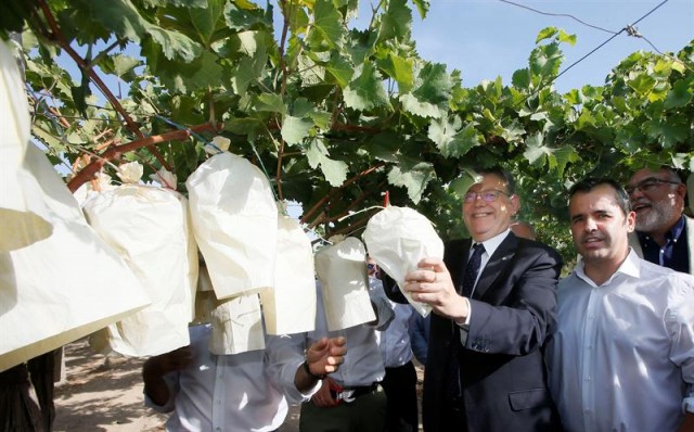 Puig recuerda a los agricultores que los presupuestos contemplan 30 millones para el trasvase del Júcar-Vinalopó