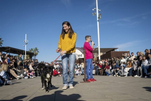 El Desfile para adoptar perros abandonados de AUPA y Bioparc será el próximo 17 de diciembre