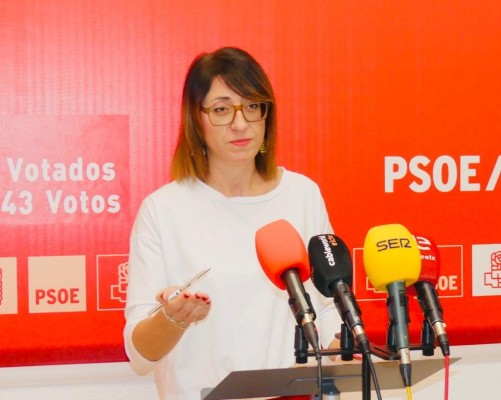 El PSOE insta a la Diputación a que el MUPE sea el Museo Provincial Paleontológico
