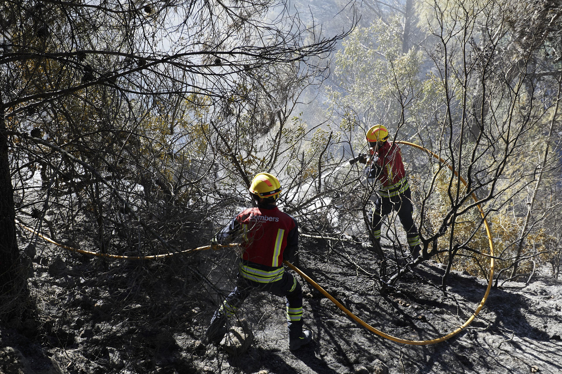 Jornada negra en la Marina Alta: cuatro incendios llevan de cabeza a los Bomberos