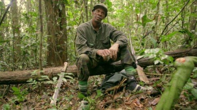 Los Cines Aragón se vuelven 'ecofriendly' y lanzan un mensaje para salvar la selva africana