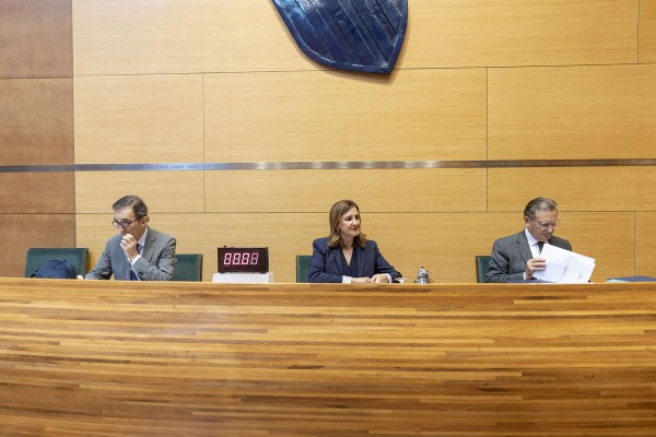 El Ayuntamiento de València rechaza con los votos de PP y Vox el acuerdo de investidura y la amnistía